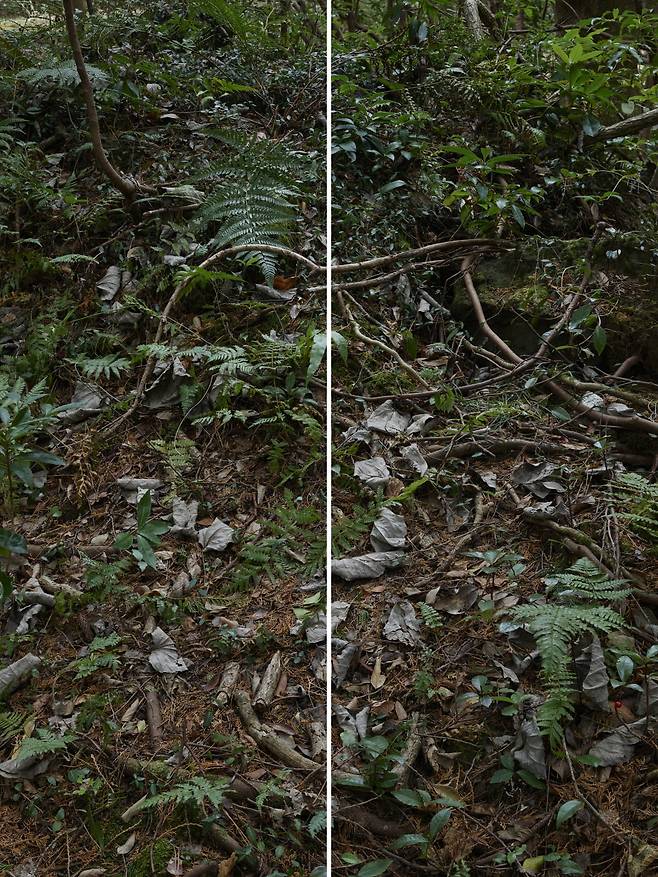 무제(Untitled), 165x220cm (a set of 2 panels), Archival Pigment Print. / 고은 깁슨 사진미술관 제공