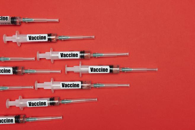 [게티이미지뱅크]