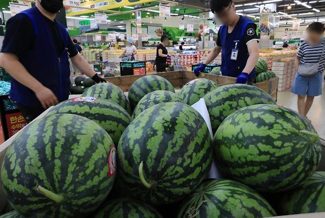 지난 10일 서울 서초구 양재동 하나로마트에서 직원들이 수박을 진열하고 있다. 기사와 직접적인 관련 없음. 연합뉴스