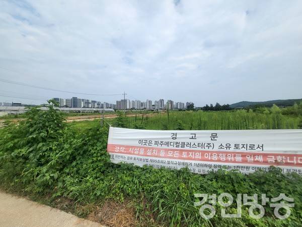 파주 메디컬클러스트 (PMC) 건립 부지 현장 [사진= 곽경호 기자]