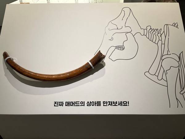[사진=경기문화재단]