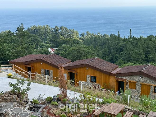 7월 말에 새로 개장한 스테이너와의 반려동물 전용 시설.