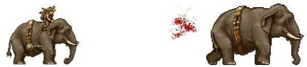 코끼리도 존재한다. 이정도는 되어야지