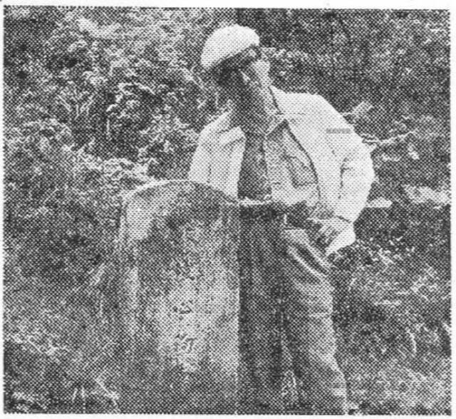▲ 1976년 8월 21일자 조선일보에 실린 정비석과 전계심 비