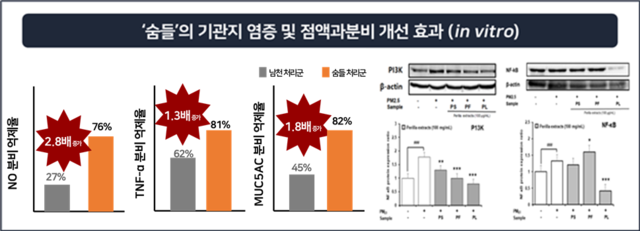 농촌진흥청이 육성한 ‘숨들’은 실험 결과 기관지 염증 감소와 점액 분비 억제에 효과가 있는 것으로 나타났다. 농촌진흥청