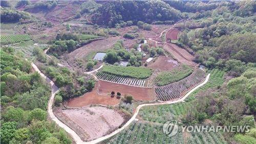 경북 문경시 돌리네습지. [환경부 제공. 재판매 및 DB 금지]