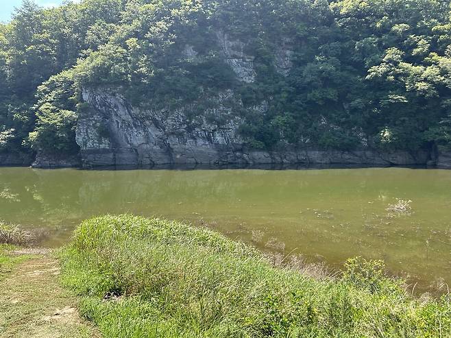 옅은 녹색으로 변한 대곡천 일대      (울산=연합뉴스) 김예나 기자 = 1일 울산 울주군 언양읍 대곡리의 국보 '울주 대곡리 반구대 암각화'가 물에 잠겨 보이지 않는 모습. 지난달 울산을 비롯해 전국 곳곳에 집중 호우가 내려 사연댐 수위가 상승하면서 암각화도 물에 잠겼다. 2025.8.1
    yes@yna.co.kr