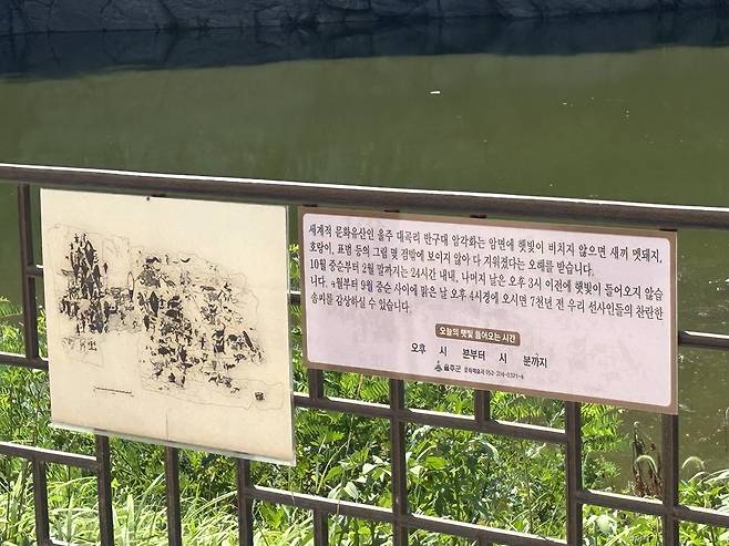 반구대 암각화 전망대      (울산=연합뉴스) 김예나 기자 = 19일 찾은 국보 '울주 대곡리 반구대 암각화' 전망대 모습. 지난달 울산을 비롯해 전국 곳곳에 집중 호우가 내리면서 사연댐 수위가 상승해 반구대 암각화는 7월 19일부터 약 2주째 물에 잠긴 상태다. 2025.8.1
    yes@yna.co.kr
