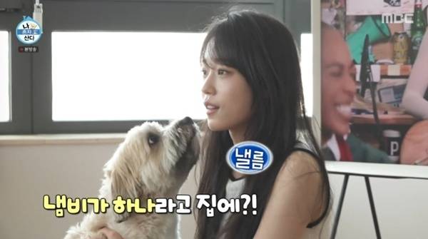 MBC '나 혼자 산다'