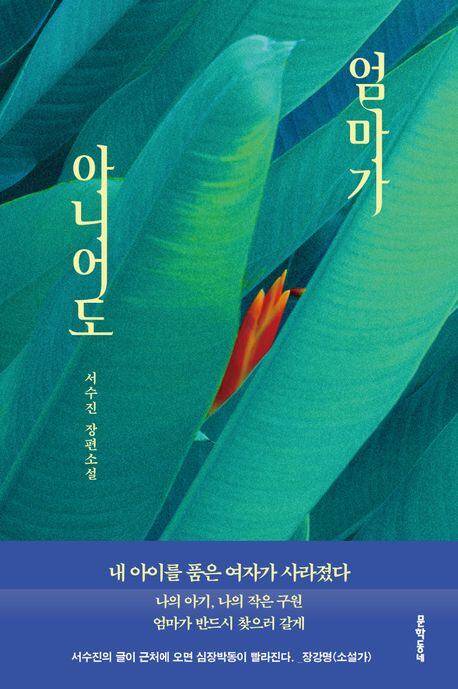 서수진 장편소설, '엄마가 아니어도'