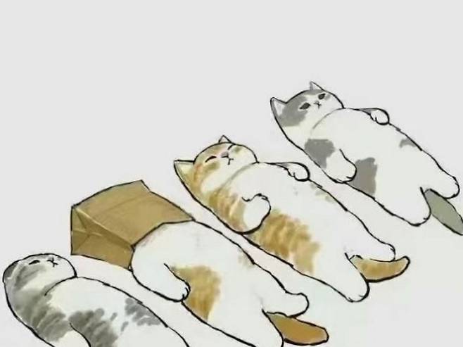 탕핑 족을 빗댄 그림. 적극적인 근로도 소비도 회피하고 최소한의 생계활동만 수행하면서 대부분의 시간을 집에서 누워서 보내겠다는 탕핑족. ‘내가 누우면 자본이 절대 나를 착취할 수 없다’는 젊은이들의 분노 표현이다.