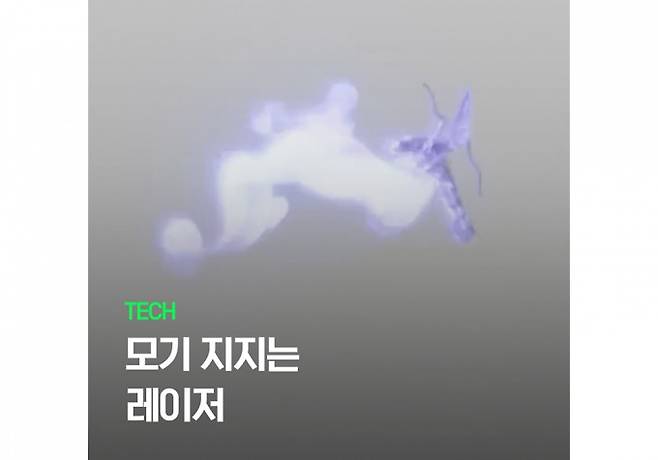 포톤 매트릭스 제공