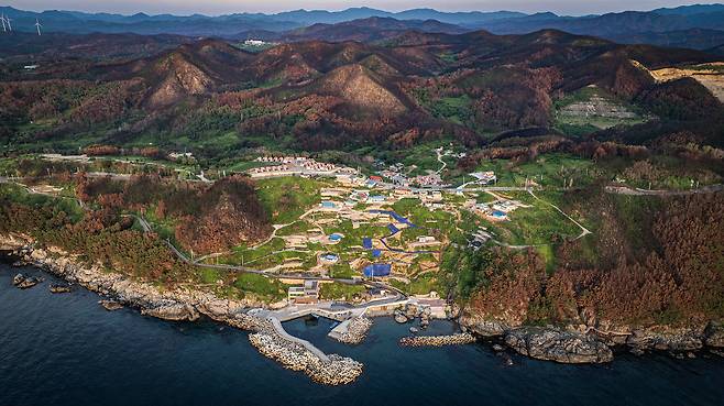 지난 3월 대형 산불이 발생한 영덕 석리 마을 곳곳에 초록빛이 짙어가고 있다. 하지만 마을을 병풍처럼 둘러싼 산자락은 갈색으로 불에 탄 흔적이 아직 그대로다. 전민규 기자