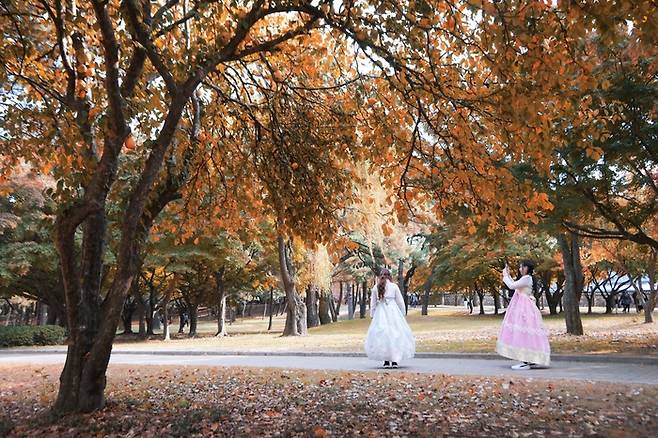경북 경주 / 사진 = 한국관광공사
