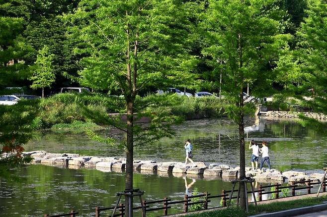 전남 담양 관방제림 / 사진 = 한국관광공사