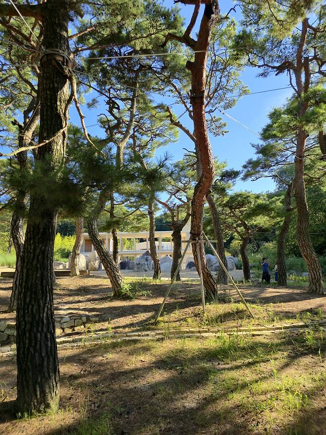 경주솔밭, 문파샘길.