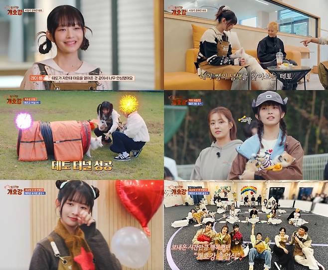 JTBC ‘집 나가면 개호강’ 방송 캡처