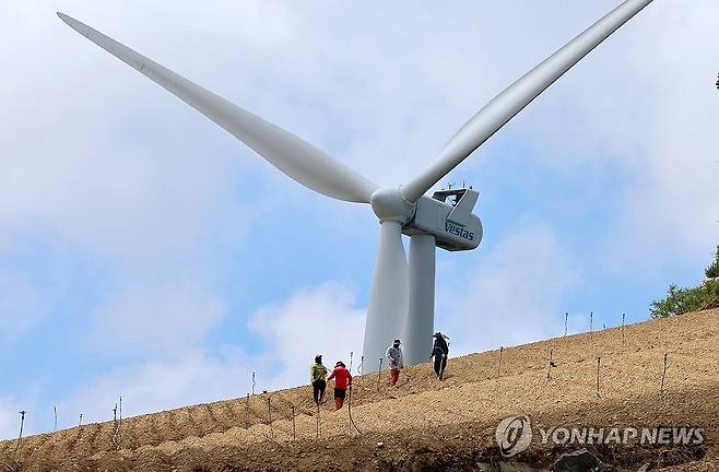 고랭지 배추밭에 물주기…강릉 안반데기 [연합뉴스 자료사진]