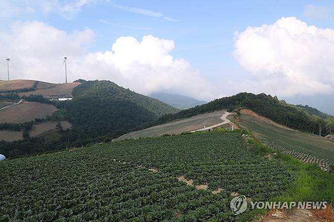 비가 내려야 하는데 [연합뉴스 자료사진]