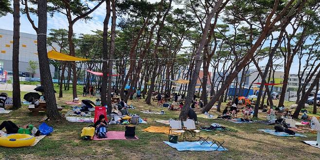 보령 머드축제장 인근에 마련된 숲속쉼터에서 피서객들이 8월2일 주말 오후를 느긋하게 즐기고 있다.