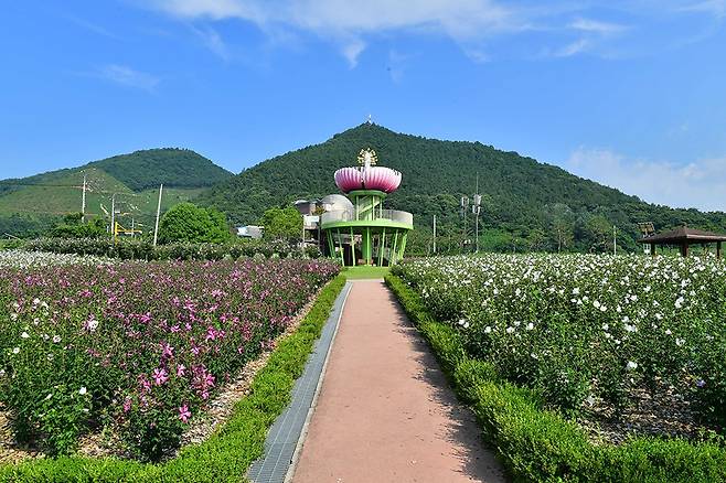 장성 무궁화 공원 전경. <장성군 제공>