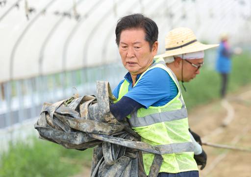 정청래 신임 더불어민주당 대표가 3일 오전 전남 나주시 노안면 오이농가를 찾아 수해 복구 작업을 하고 있다. 사진=연합뉴