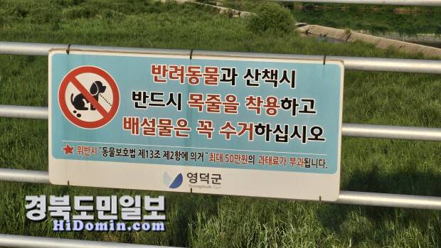 영덕군 영덕읍 오십천변 데크에 설치된 반려동물과의 산책시 행동요령 경고문. 사진=김영호 기자.