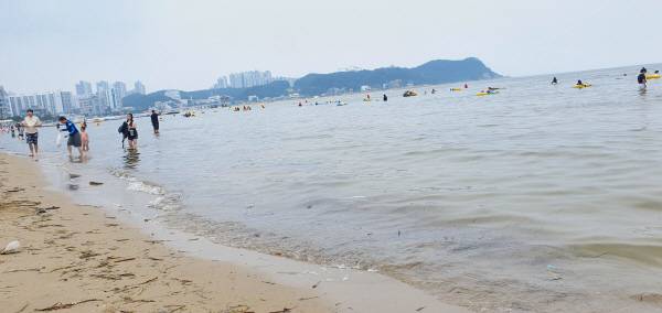 3일 오후 포항 영일대해수욕장에 부유물 등이 떠내려온 모습. 황영우 기자