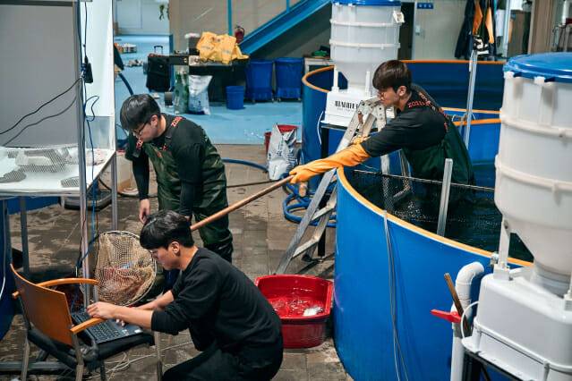 타이드풀 직원들이 경북김천 피쉬카페 송어양식장에서 연구개발 활동을 진행하고 있다. (사진=타이드풀)