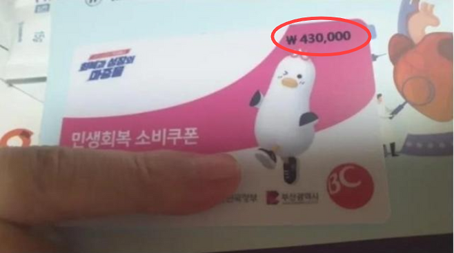 부산시가 지급한 민생회복 소비쿠폰 선불카드. [사진 = 디시인사이드 갈무리]