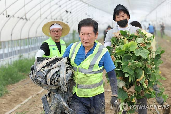오이밭 수해복구하는 정청래 당대표 (나주=연합뉴스) 김혜인 기자 = 정청래 신임 더불어민주당 대표가 3일 오전 전남 나주시 노안면 오이농가를 찾아 수해 복구 작업을 하고 있다. 2025.8.3 in@yna.co.kr