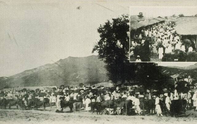 청주 남주동 우시장. (사진= 김영복 연구가)