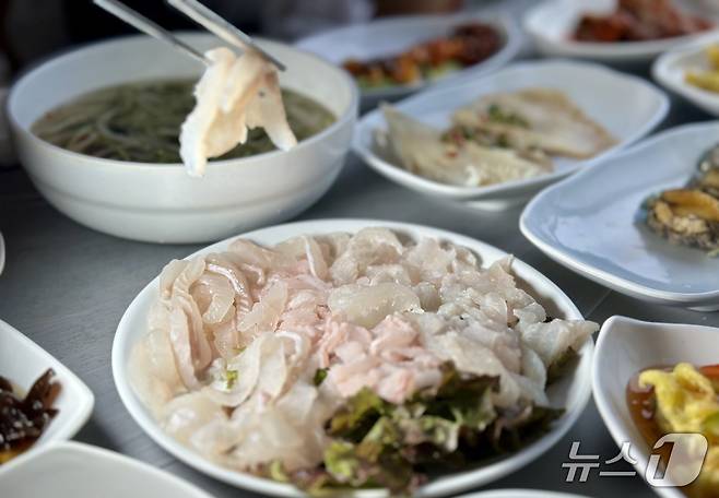 쫄깃쫄깃 싱싱한 식감이 살아 있는 회ⓒ News1 윤슬빈 기자
