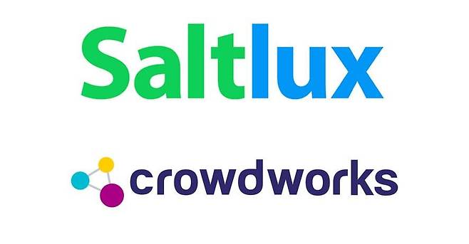 솔트룩스, 크라우드웍스 CI.