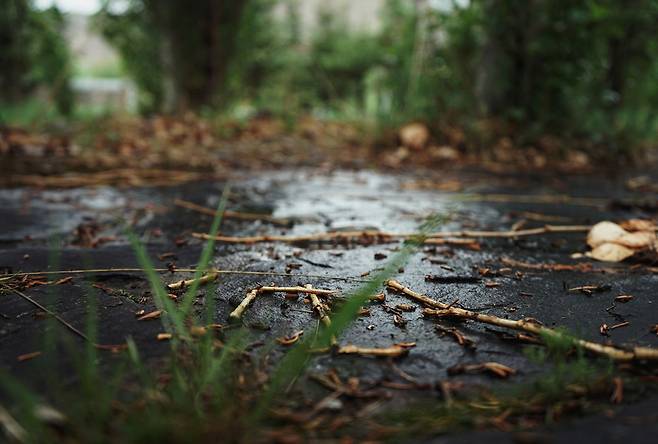 ©unsplash