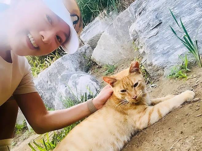 김희애 소셜미디어