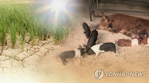 [연합뉴스 자료사진]