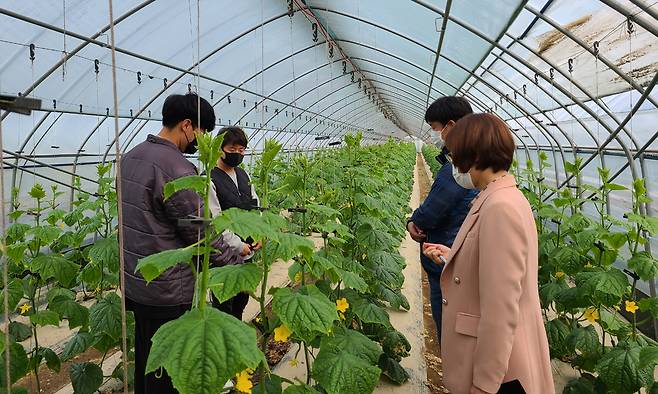 충북 진천군이 기업유치로 증가한 지방세 등에서 농업으로 되돌리는&nbsp;‘기업유치세수 농업환원사업’을 통해 청년&nbsp;농업인 현장 지원을 하고 있다. 진천군 제공