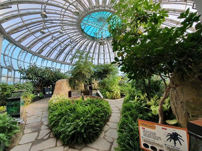 경남 의령에 있는 곤충생태학습관 내부 모습. 2025.8.4. 경남도 제공