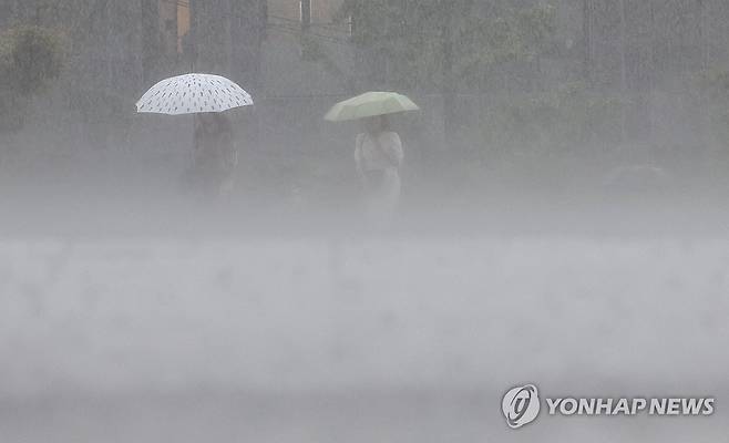 '쏟아붓네' [연합뉴스 자료사진]