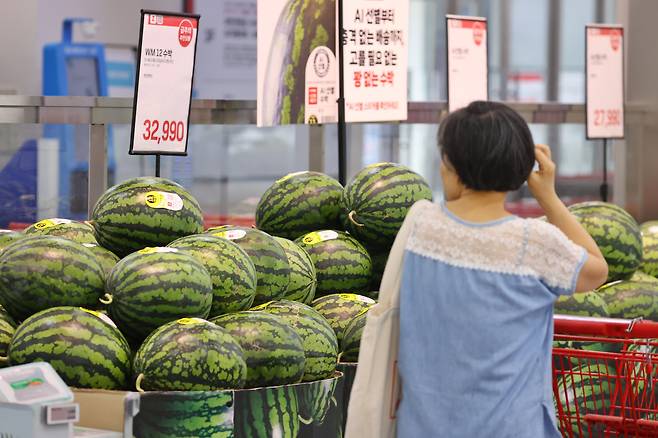 한 대형마트 과일 판매대에서 시민들이 장을 보고 있다. 사진=연합뉴스.