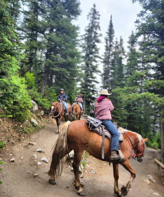 빅 비하이브 트레일에서 만난 승마 트레킹 팀. 하태길 겸임교수