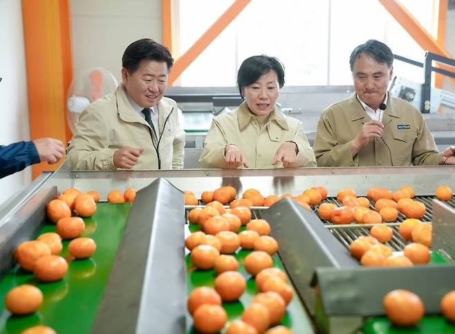 송미령 농림축산식품부 장관이 지난해 5월 서귀포시 남원농협 농산물산지유통센터(APC)를 찾아 스마트광센서 선별시설을 살펴보고 있다.