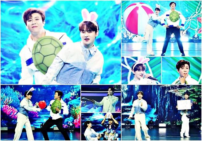 사진ㅣ크레아 스튜디오