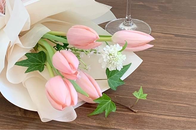 샤베트튤립. /오브앤플라워