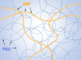 박제영 서강대 교수와 오동엽 인하대 교수, 전현열·박슬아 한국화학연구원(화학연) 연구원 공동연구팀이 고성능 플라스틱 폴리설폰(PSU)과 내열성 아라미드 나노섬유(ANF)를 결합해 만든 복합소재를 나타낸 그림. 한국연구재단 제공
