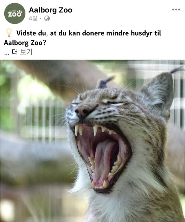 먹이 기증을 요청하는 게시물. 올보르 동물원 페이스북 캡처. 연합뉴스