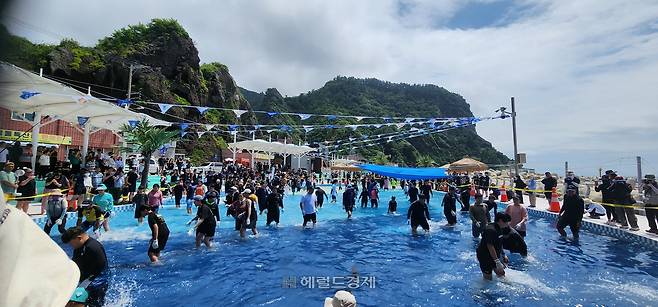울릉도 오징어 축제 이틀쨰인 5일 , 서면 남양해수풀장에서 살아있는 방어를 맨손으로 잡아보는 체험행사가 열렸다.