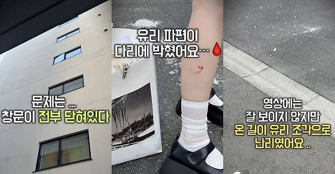 [뉴시스] 도쿄 주택가서 유리 파편에 맞은 한국인 유튜버. (출처=유튜브 '태리태리') *재판매 및 DB 금지