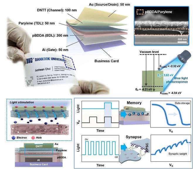 종이 명함에 제작된 차세대 AI 반도체의 정보 저장 및 인공 시냅스 기능. 단국대 제공